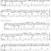 The Irish Piano Accordion / akordeon