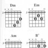 GUITAR CAPO CHORDS -  POCKETBOOK DELUXE