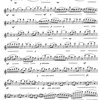 40 Easy-Intermediate Selected Studies for Flute / příčná flétna - výběr etud